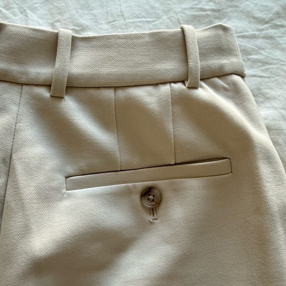 Aritzia Babaton top and pants set in Matte Pearl - Picture 11 of 12